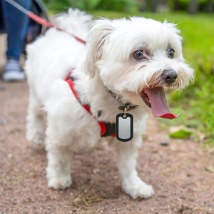 ป้ายซิลิโคนเก็บเสียงป้ายสุนัขทหารสีดำแบบเงียบสำหรับป้ายชื่อทหารแท้ยางเพื่อลดเสียงรบกวนและป้องกัน - Product Image 6