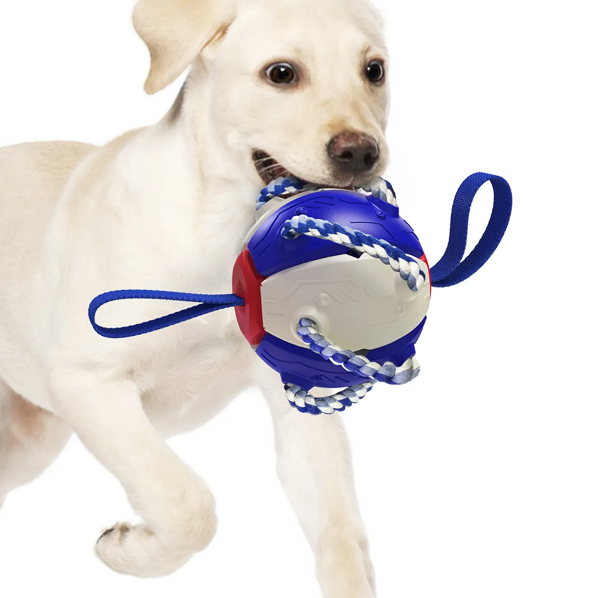 Op Maat Gemaakte Interessante Hond Kauwbal Speelgoed Huisdier Frisbeed Interactieve Oefening Speelgoed Frisbeed Ballen