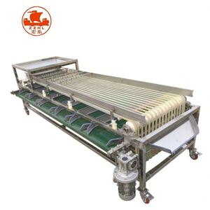 Smistatore commerciale cetriolo classificazione fragola prezzo macchina di smistamento