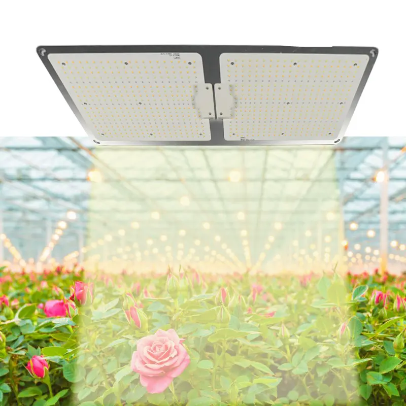 Fashion Trend ETL Listed High PPFD 220W LED Grow Light with Full Spectrum Lamp 660nm for Vertical Horticulture Seoul Luminous