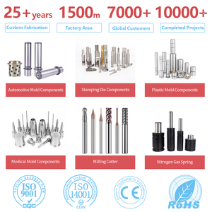 Hot bán hướng dẫn tay áo khuôn cơ sở Phụ kiện tiêu chuẩn chính xác bushingfor tiêm khuôn với hasco meusburger tiêu chuẩn - Product Image 5