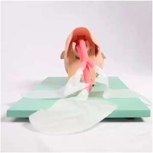 Kit Model Manikin Intubasi Trakea untuk Pendidikan Medis dengan Empat Model Pelatihan Berbeda Bahan PVC - Product Image 3