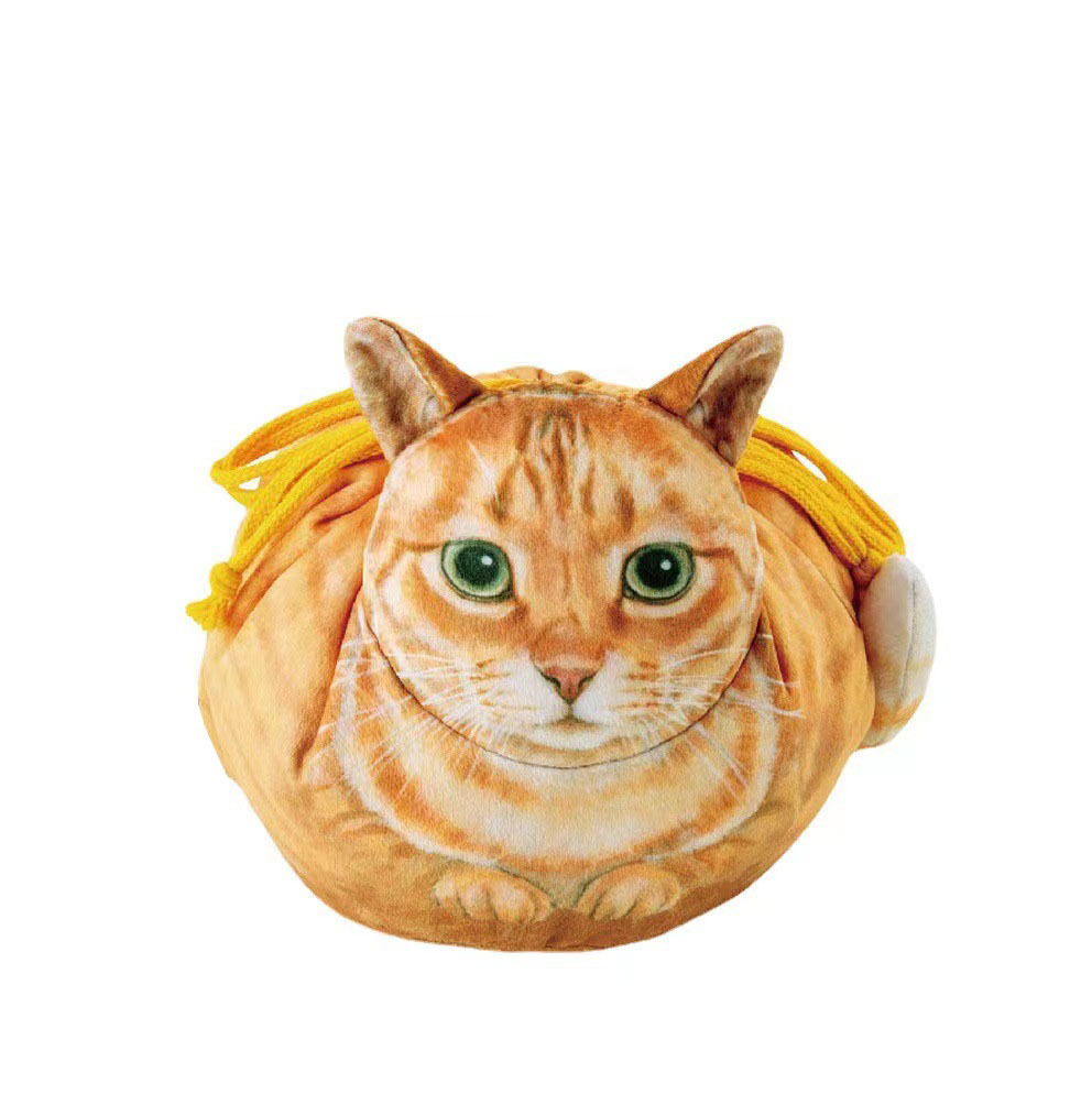 Chat rayé tigre