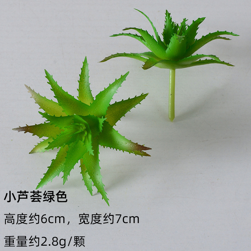 Verde aloe pequeño