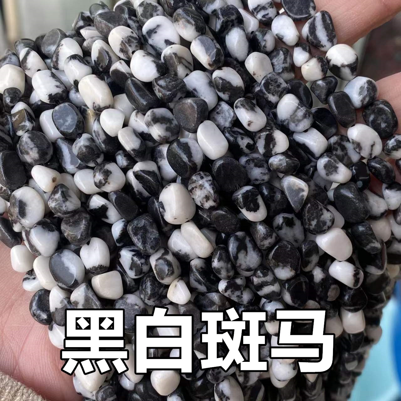 zèbre noir et blanc