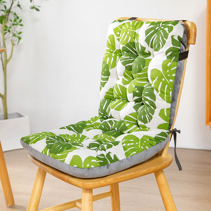 Monstera deliciosa (Dual-use)