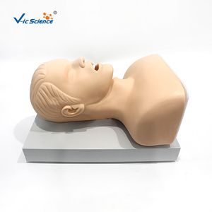 Advanced <strong>Human</strong> Tracheal Intubation Training Model - Product Image 5