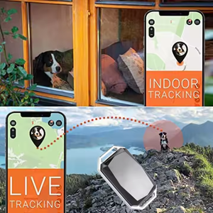 4G Pet GPS трекер ошейник в режиме реального времени пульт дистанционного управления через Бесплатное мобильное приложение Android iOS поддерживает металлический пластик GSM Beidou AGPS - Product Image 3