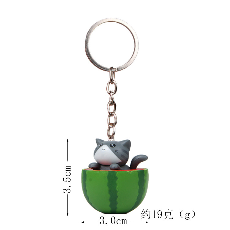 Watermelon gray cat