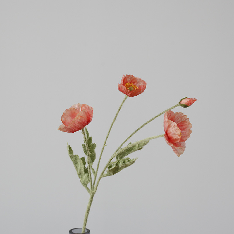 rosa oscuro