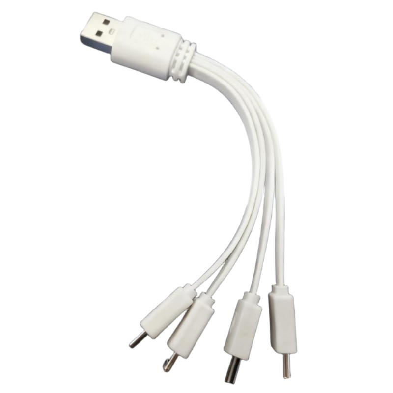 USB blanc vers 4xC