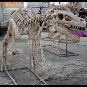 用于展示科学展览的树脂猛禽骨骼化石恐龙模型 - Product Image 2