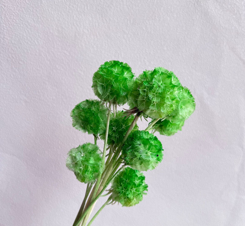 สีเขียว