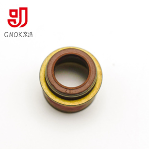 Gnok Tùy Chỉnh Flo Cao Su Van Stem Con Dấu Dầu 6d40 Động Cơ Xe Máy Van Con Dấu Nhà Máy Trực Tiếp 6d40 Động Cơ Xe Máy Con Dấu - Product Image 1