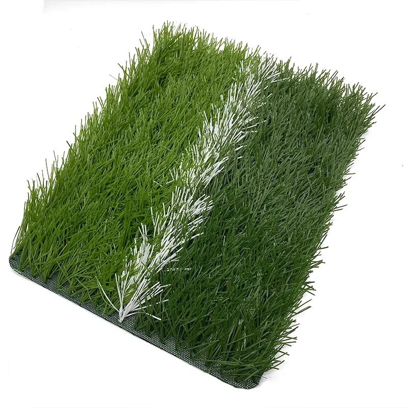 Uni Meilleure Qualité Herbe De Football Naturelle Graines Gazon Gazon pour Football pour Terrain De Football Gazon Artificiel pour Terrain De Sport