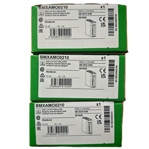 BMXAMO0210 Modicon X80 Serie 2-Kanal-Analogausgangsmodul Brandneues Original-SPS-Modul mit 1 Jahr Garantie - Product Image 4