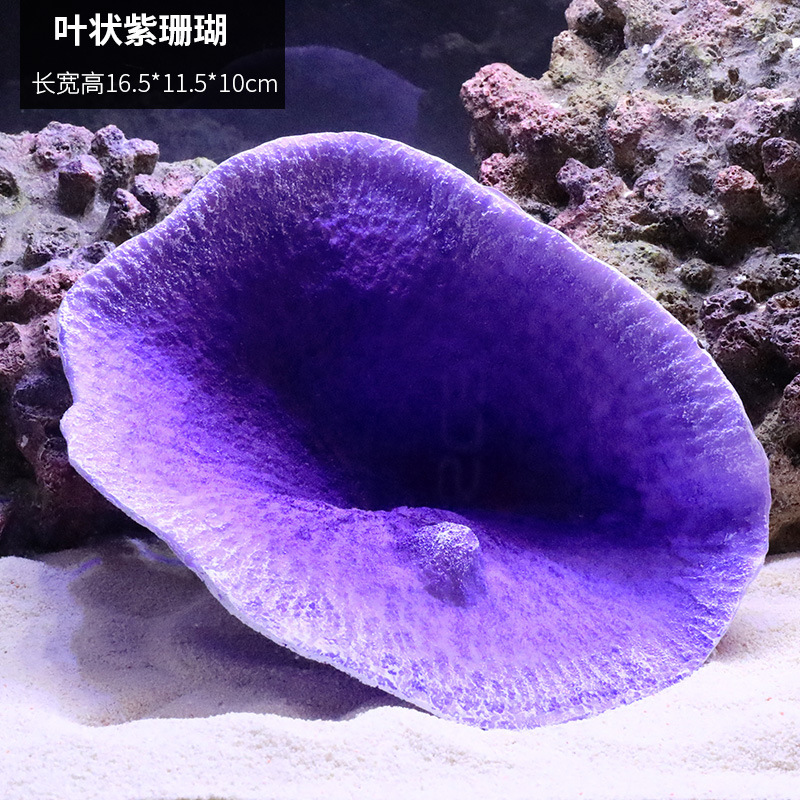 Leaf-shaped purple coral