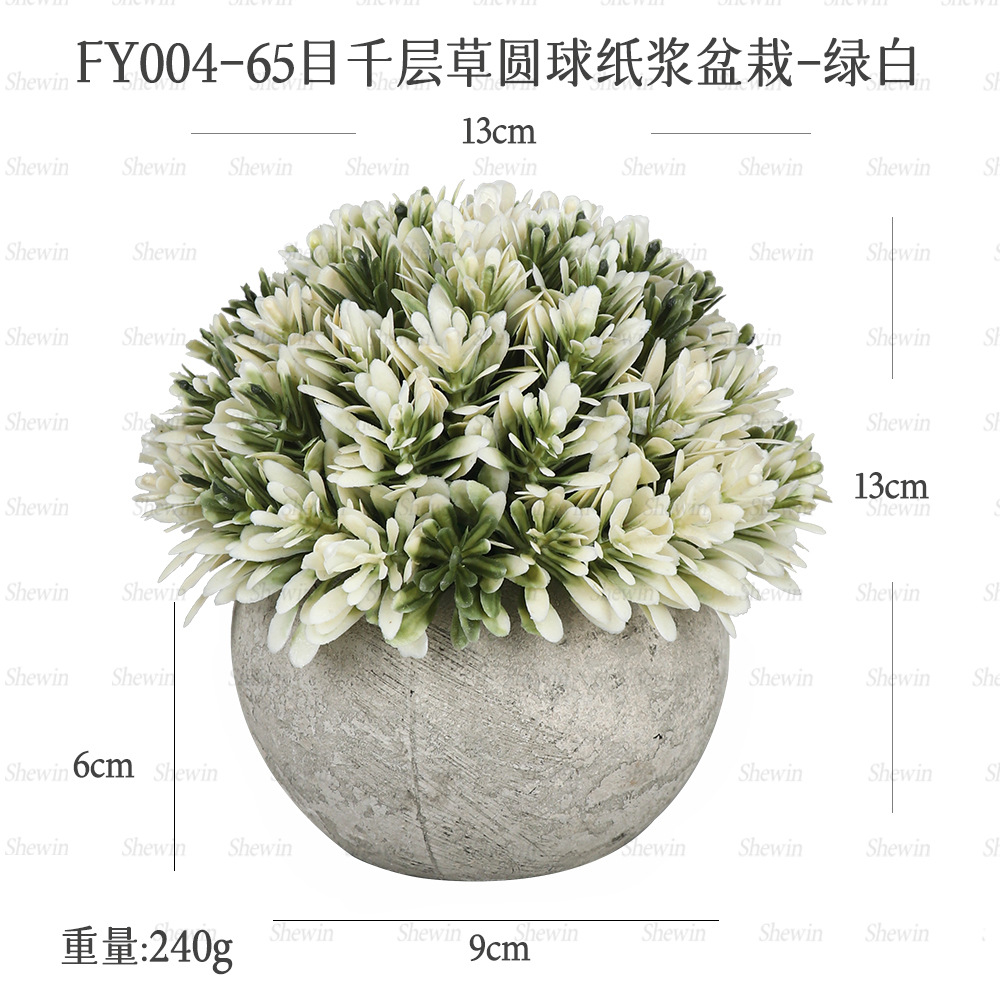 Melaleuca papyrifera plantas en maceta (blanco y verde)