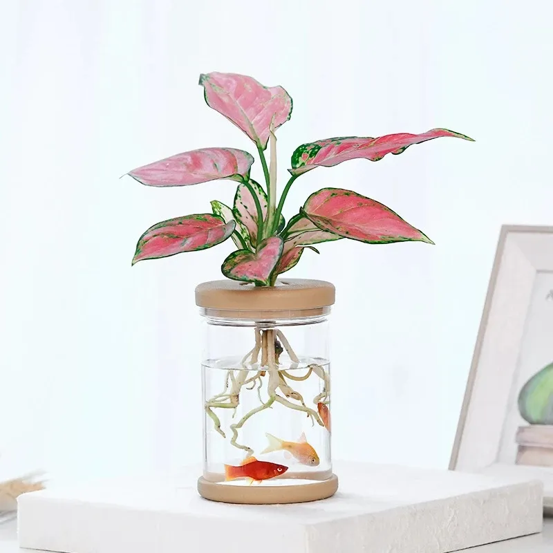 Vaso de flores hidropônico transparente, vaso de flores de vidro sem solo para decoração em vasos, plantas verdes e vasos