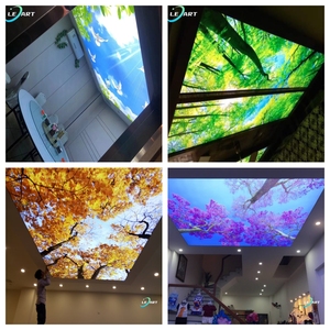 广东建材3d天空树鸟聚氯乙烯拉伸天花板薄膜电梯天花板 - Product Image 2