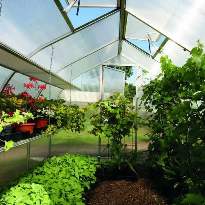 Pomodoro verde intenso portatile, piante da fiore che crescono tende da camera calde e calde facile installazione serre da giardino/