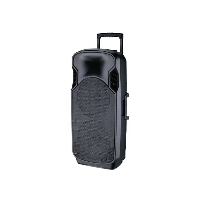 Amplificatore bass altoparlante WIRELESS doppio altoparlante da 12 pollici con microfono wireless portatile 212B
