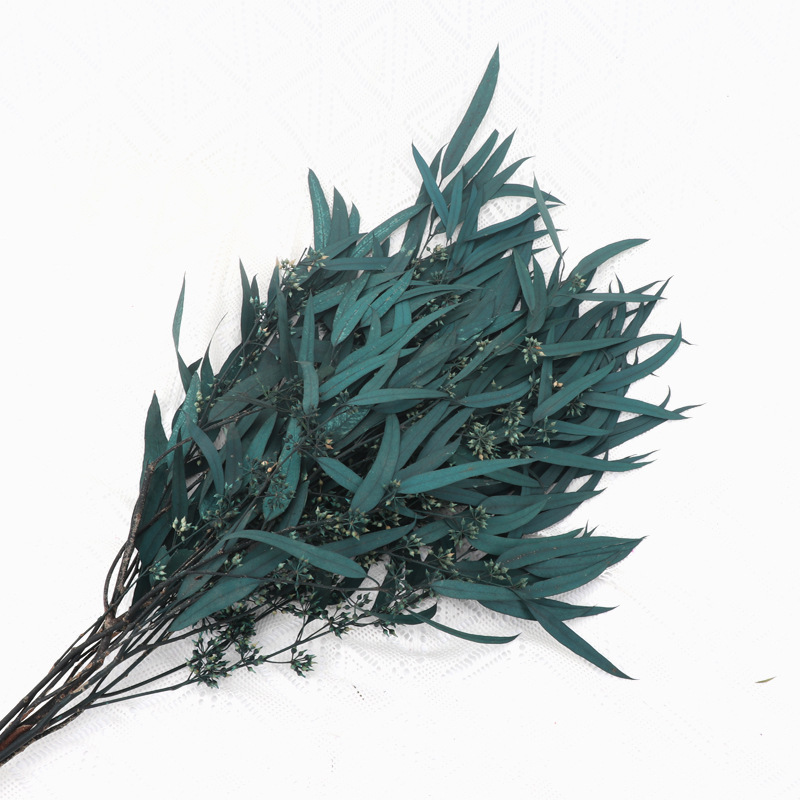 Hoja de la fruta del mijo