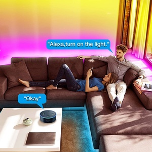 WiFi Tuya IP20 12V 10m 5050 RGBアプリコントロールAlexaGoogle音声起動スマートLEDライトストリップ - Product Image 4