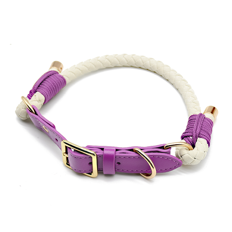 TYPE P violet