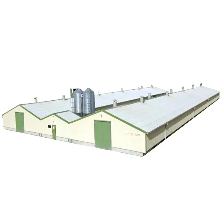 large metal Low cost good insulation steel structure poultry house