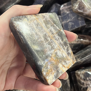 Piedra preciosa natural Palma piedra solar negra corazón columna vertebral cristal forma libre para fengshui