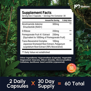 OEM Resveratrol Trans-Resveratrol Nicotinamida Adenina Dinucleotídeo Cápsulas Nad Suplemento Cápsula 300mg Anti-envelhecimento Gomas - Product Image 2