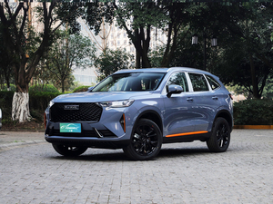 中国のトップガソリン車Haval H6 <span class=keywords><strong>2025</strong></span> 1.5T Auto Championship Haval H9新車SUVガソリン大人用ガスカー
