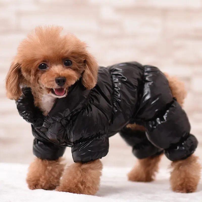 Macio Quente Pet Roupas Inverno Espessado Quente Para Baixo Jaqueta Moda Clássico De Pescoço Alto Para Baixo Casaco Pet Vestuário