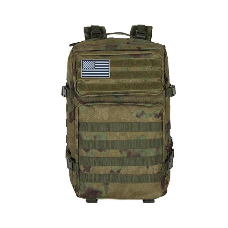 Green ruins, American flag