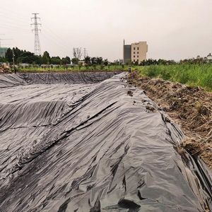 Kamboçya'da biyogaz Digester için 1.5mm HDPE LLDPE LDPE geomembran endüstriyel tasarım HDPE membran en iyi fiyat - Product Image 5