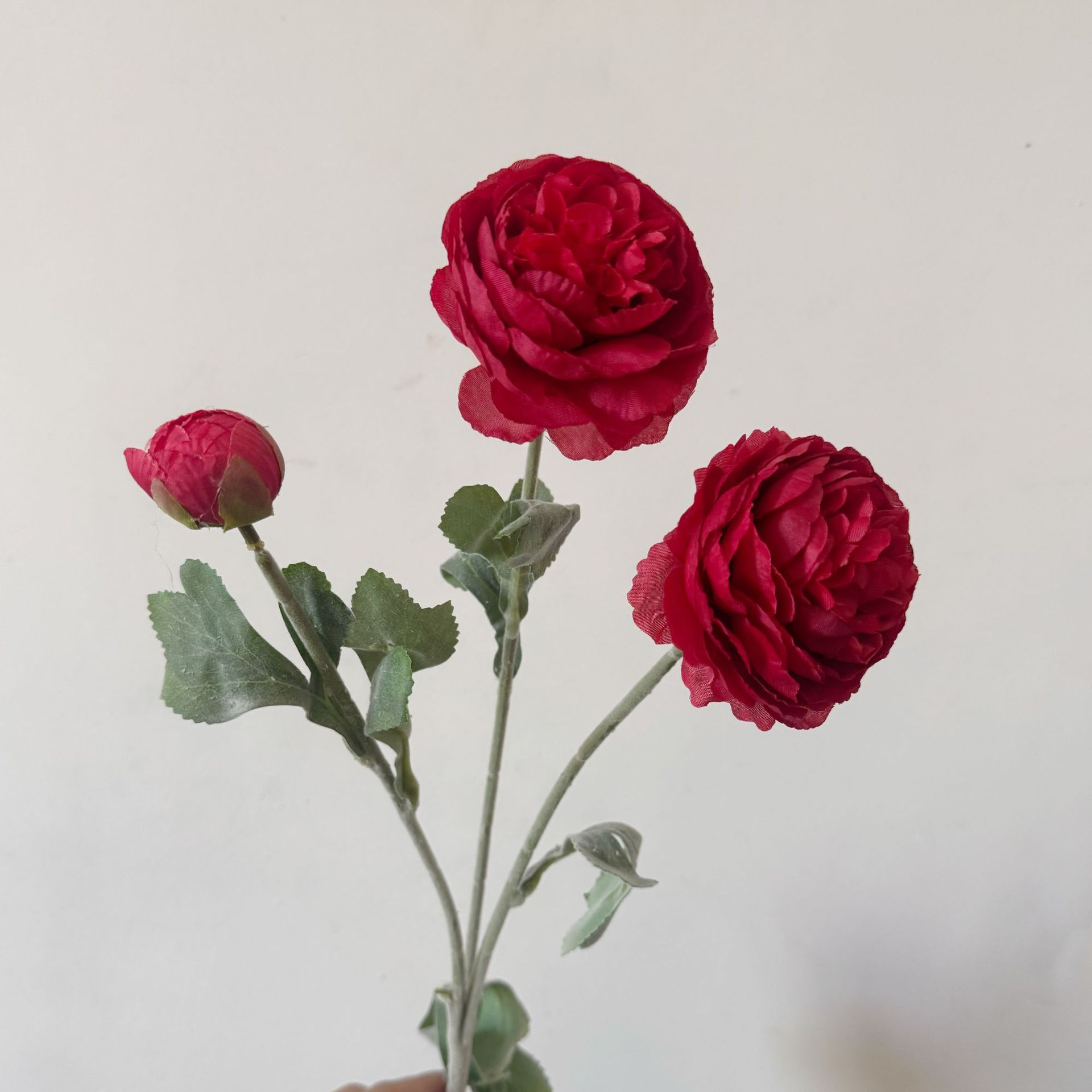 Rosso