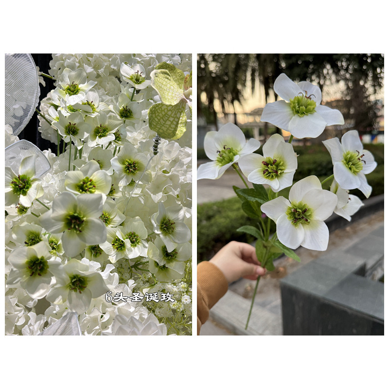 6 cabezas de rosa de Navidad, blanco y verde.