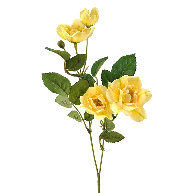 Amarillo