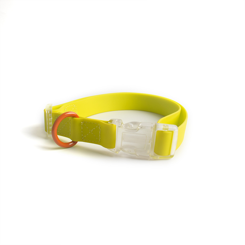 yellow collar