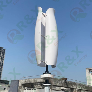 Yeni varış 1000W 3kw 5kw 10kw VAWT lale şekli dikey rüzgar rüzgar türbini jeneratör ile 96v/220v çıkış 5000w anma gücü ev için - Product Image 5