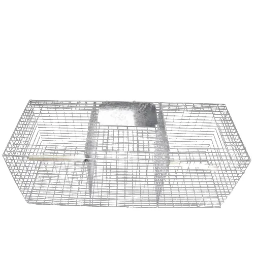Cage à oiseaux pliable pour animaux vivants Cage à piège répétitive durable robuste pour oiseaux Pigeon