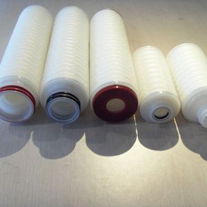 <strong>10</strong> Inch 0.2 Micro Polyethersulfone (PES) Water Cartridge Filters with 220V Filter Housing Essential for Purification - Product Image 4