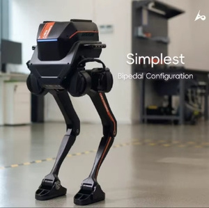 2025 Chinesische intelligente künstliche Intelligenz Fox tech robot Walking SDK RC Programmierung Biped Humanoid Robot