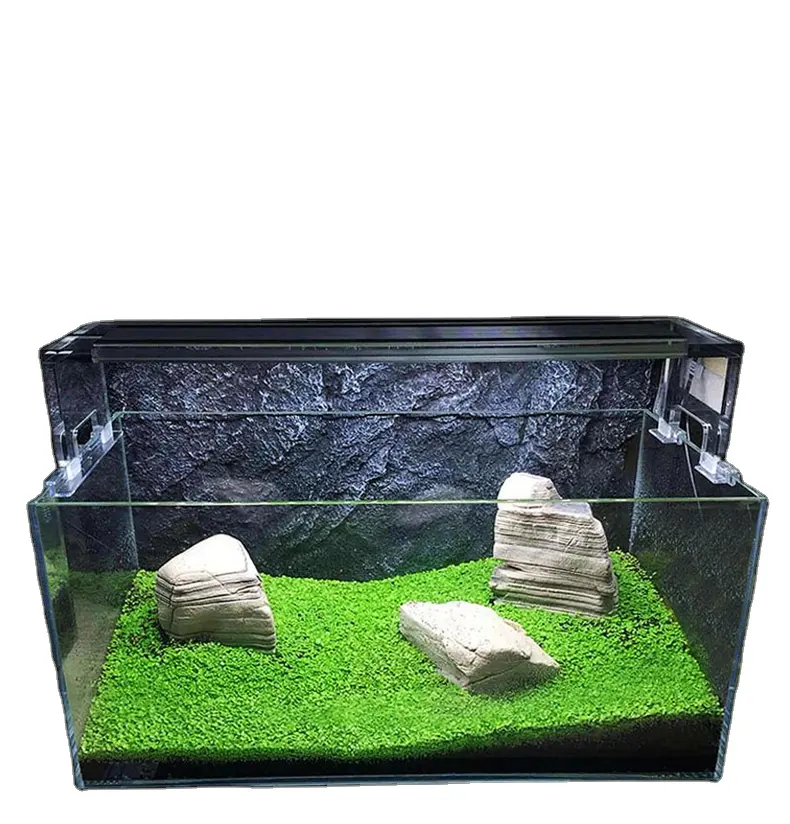 Fish Tank Decorative Water Plant Seed Package Prospects Mini Foliage Plant Aquarium Living Scenery of Real Water Plants