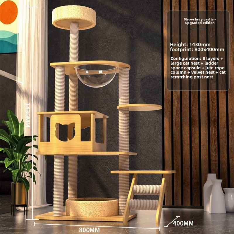 Luxury Edition 01
