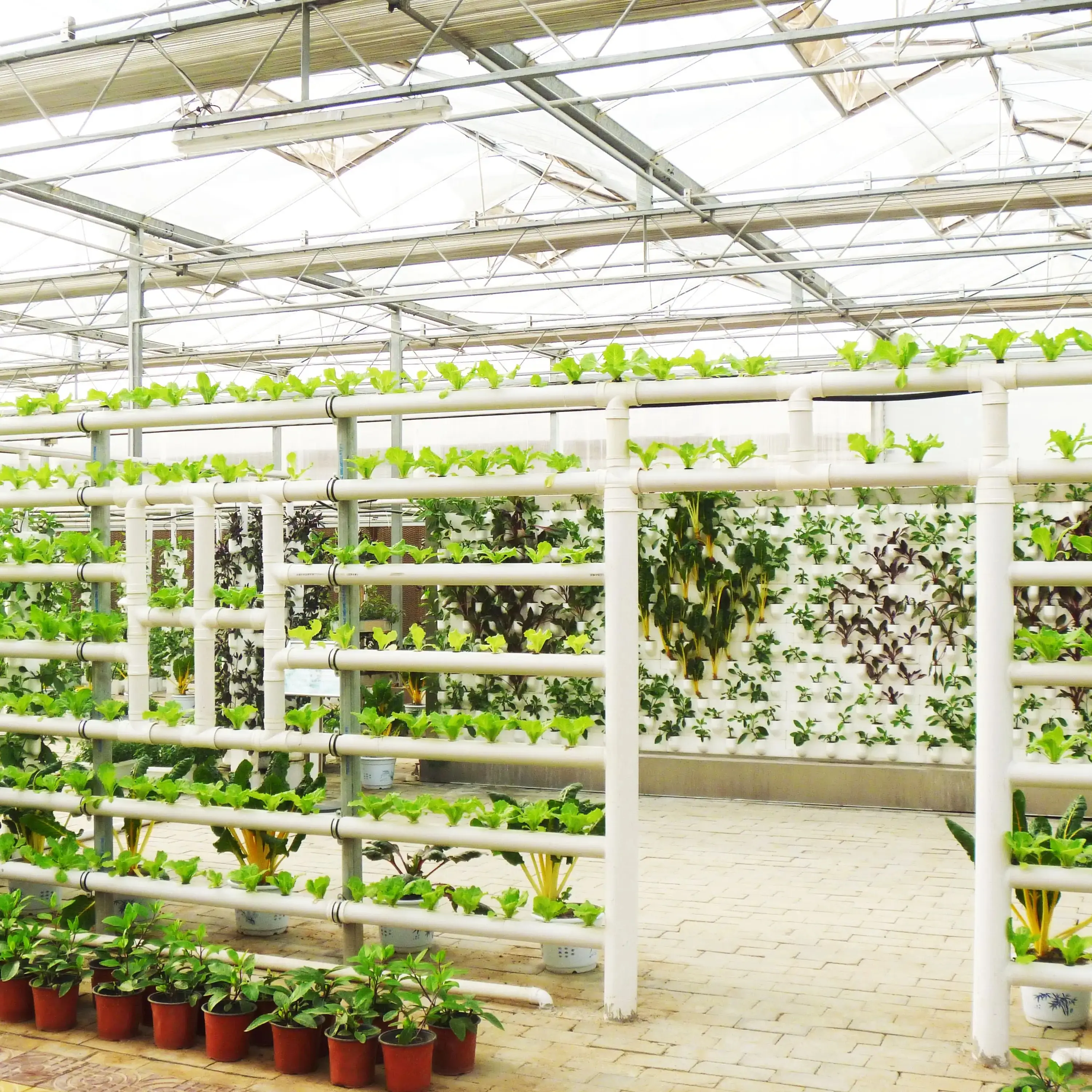 कम लागत इनडोर Nft हाइड्रोपोनिक प्रणाली खड़ी Aquaponics बढ़ती प्रणाली के लिए सब्जियों