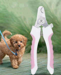 Profesyonel köpek evcil hayvan tırnak kesicisi makas seti paslanmaz çelik bıçaklar Pet temizlik ve bakım ürünleri Pet kutu için - Product Image 5