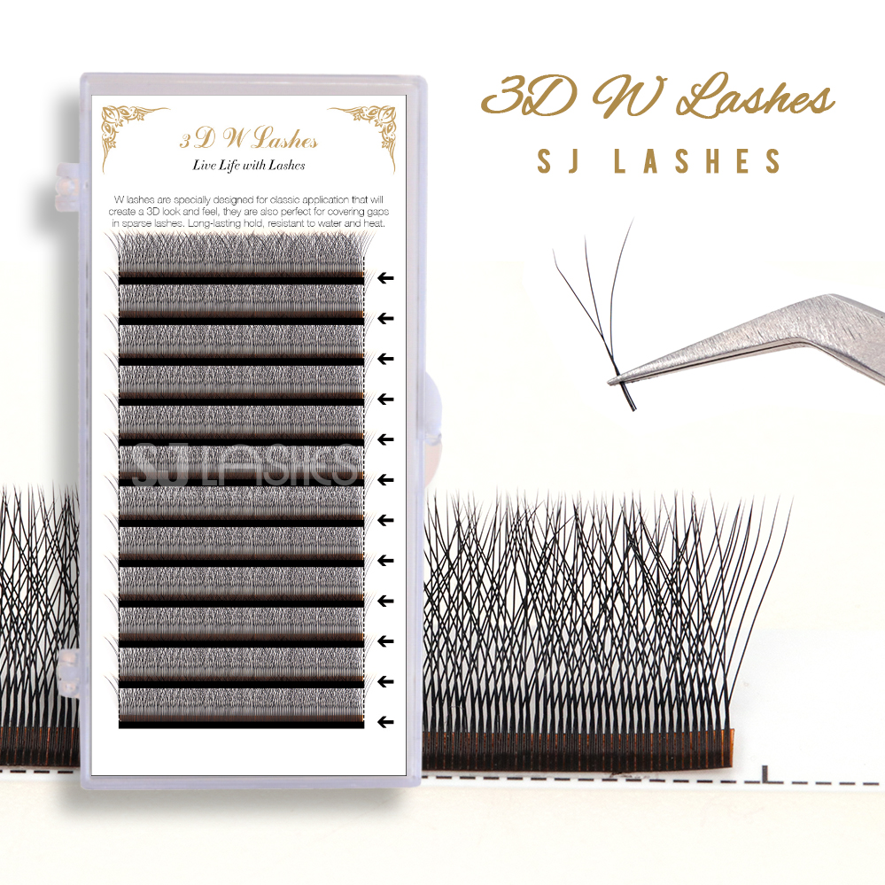 Cils 3D W