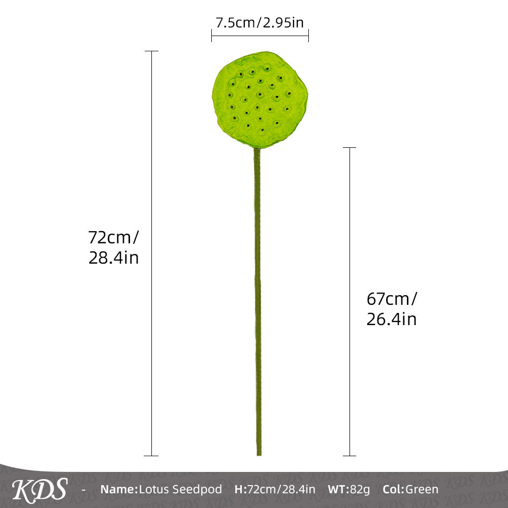 ใหม่เมล็ดบัว